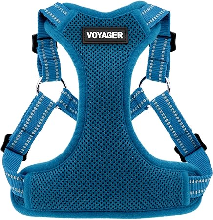 Best Pet Supplies Voyager Adjustable Dog Harness With Reflective Stripes For Walking Jogging HeavyDuty Full Body No Pull Vest With Leash DRing Breathable AllWeather Harness Turquoise S