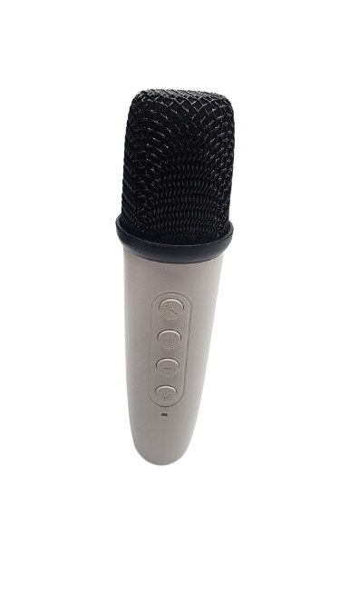 KTV Speaker
