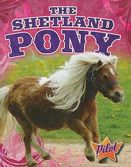 The Shetland Pony (Pilot Books: Horse Breed Roundup)