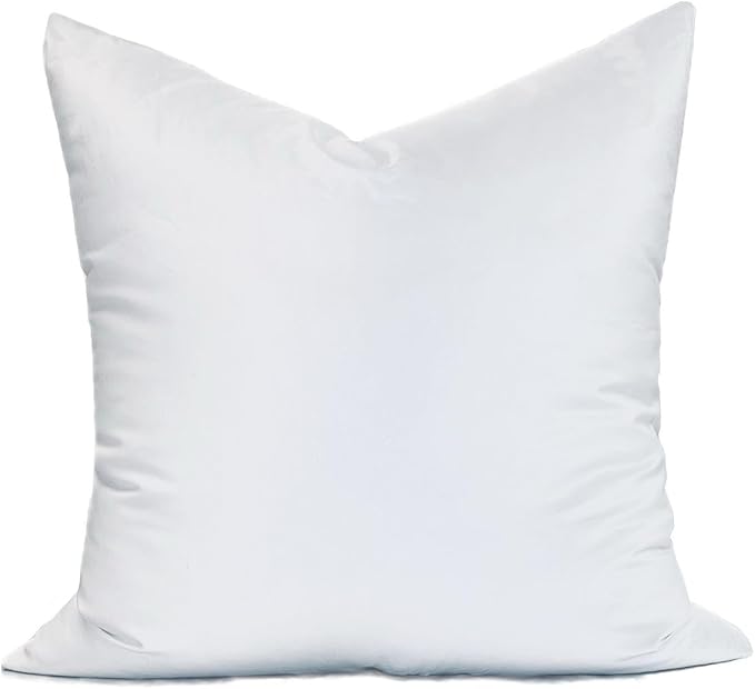 24" x 24" pillow Form
