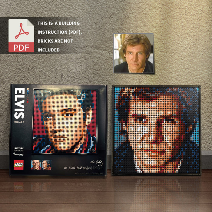 31204-han solo