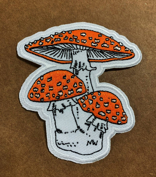 Amanita Muscaria Mushroom Patch