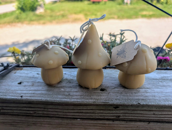 Beeswax Mushroom Candles