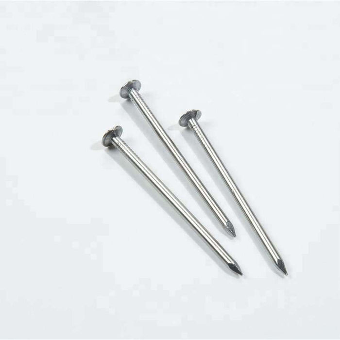 BIL Panel Pin Nails Flat Head Galv 20mm x 100g