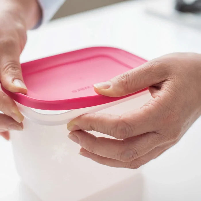 Boîte de rangement Tupperware Alaska High Body 2 pièces, 1100 ml