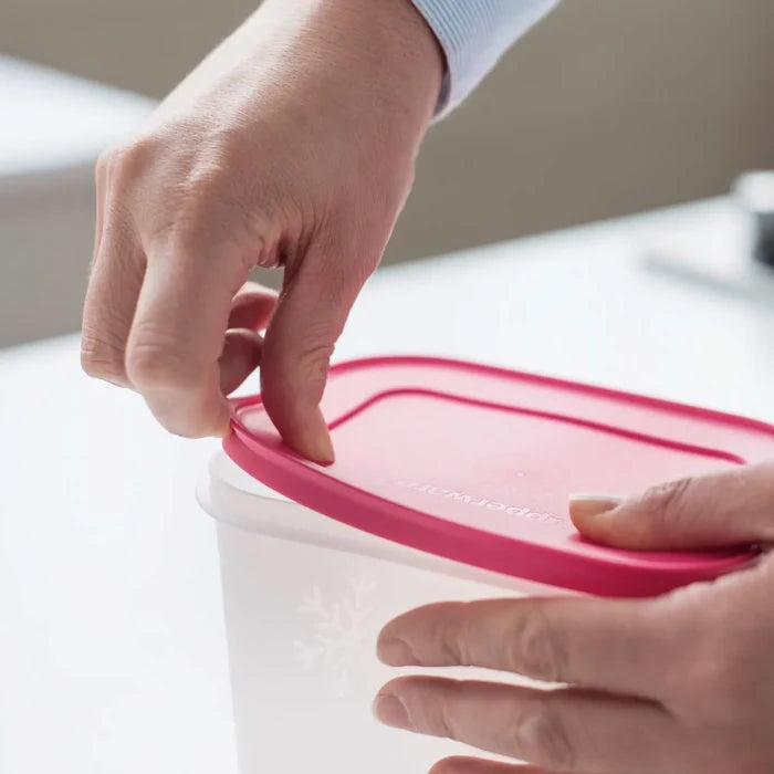 Boîte de rangement Tupperware Alaska High Body 2 pièces, 1100 ml