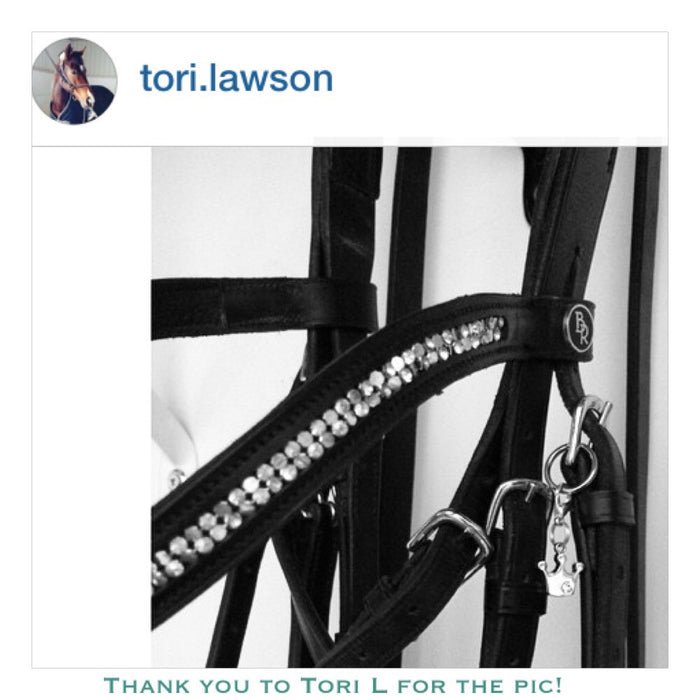 Bridle Charm, Boot Charm, Tack Charm, Equestrian Charm, Bling charm, Bridle charms, Equestrian jewelry, Bracelet Charm,