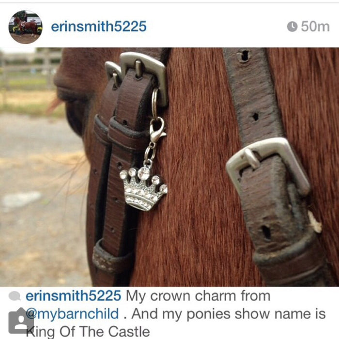 Bridle Charm, Boot Charm, Tack Charm, Equestrian Charm, Bling charm, Bridle charms, Equestrian jewelry, Bracelet Charm,