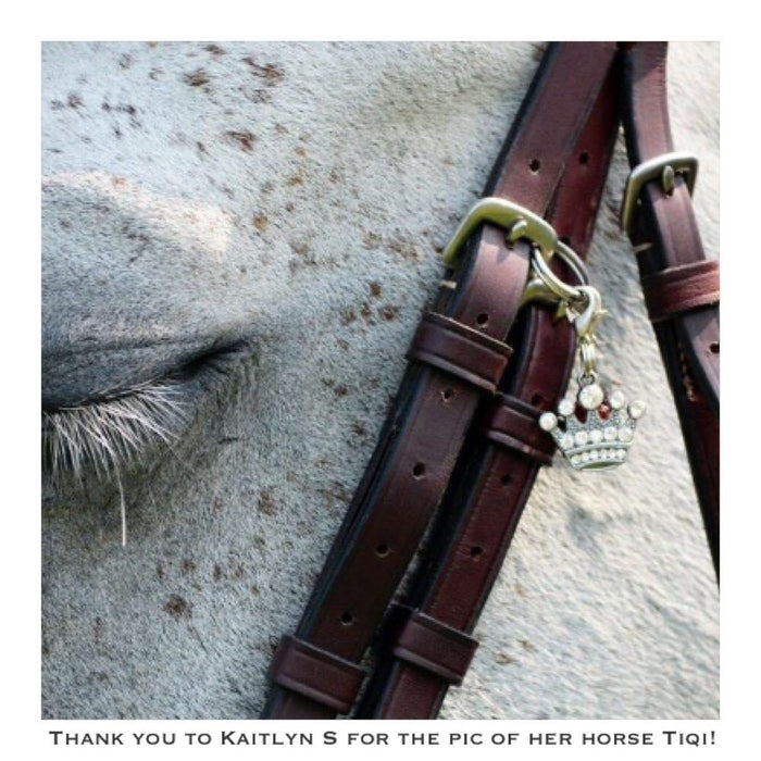 Bridle Charm, Boot Charm, Tack Charm, Equestrian Charm, Bling charm, Bridle charms, Equestrian jewelry, Bracelet Charm,