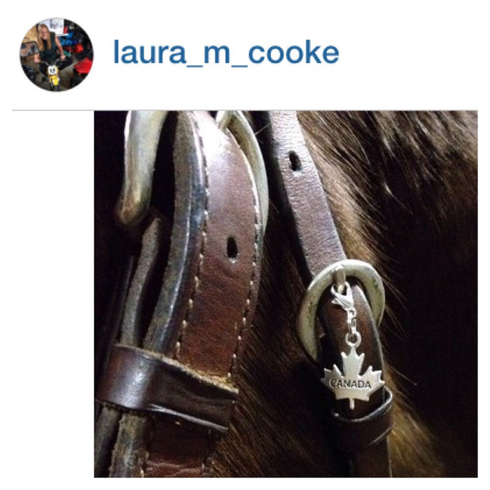 Bridle Charm, Boot Charm, Tack Charm, Equestrian Charm, Bling charm, Bridle charms, Equestrian jewelry, Bracelet Charm,