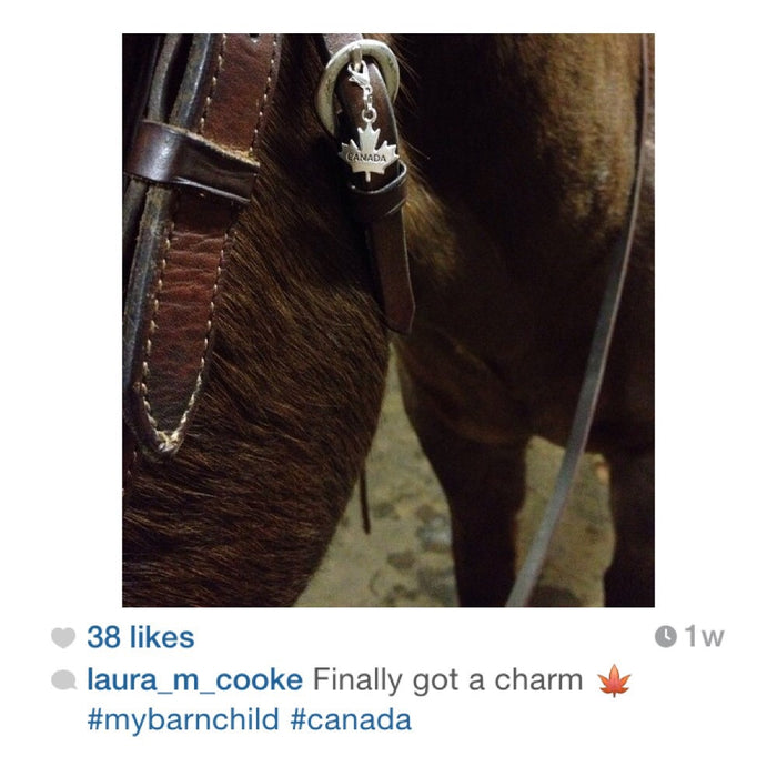 Bridle Charm, Boot Charm, Tack Charm, Equestrian Charm, Bling charm, Bridle charms, Equestrian jewelry, Bracelet Charm,