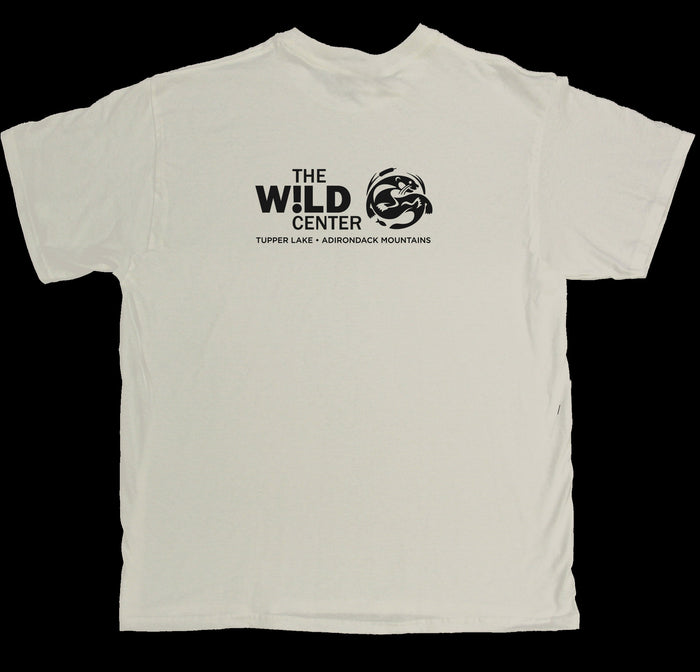 Butterfly Spectrum Women's V Neck