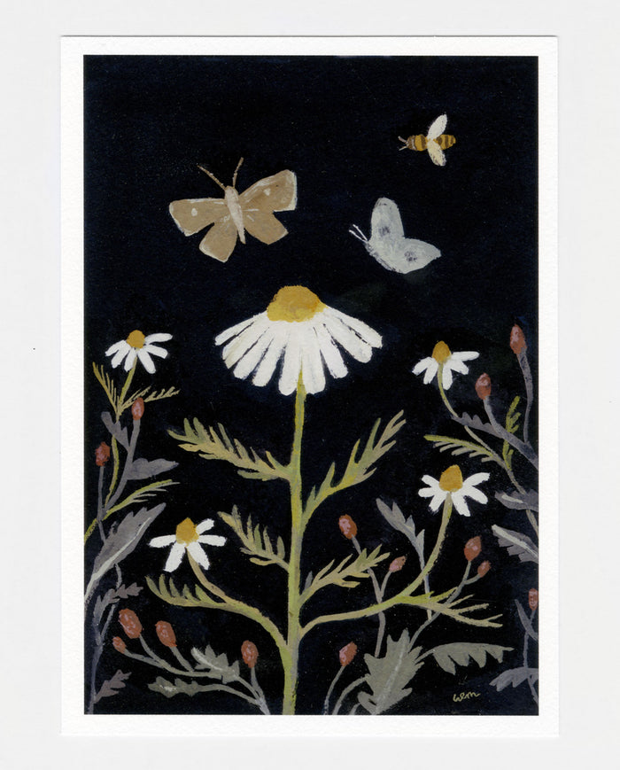 Chamomile and Sorrel a5 print