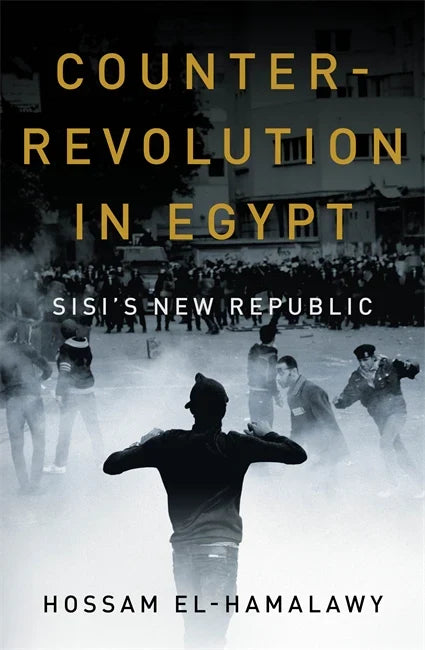Counterrevolution in Egypt: Sisi's New Republic – Hossam el-Hamalawy