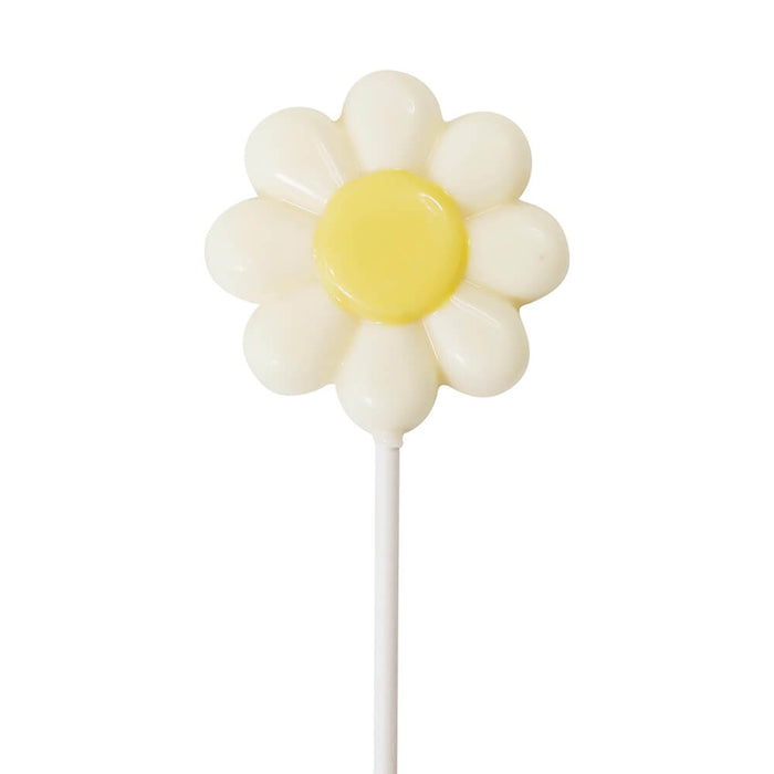 Daisy chocolate pop