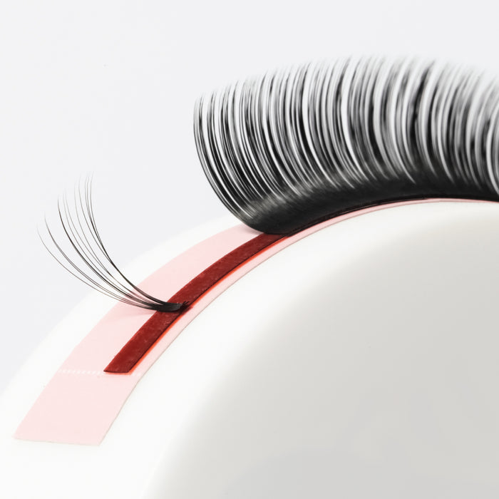 Easy Fan Blossom Lashes
