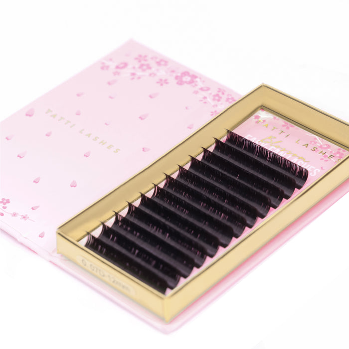 Easy Fan Blossom Lashes