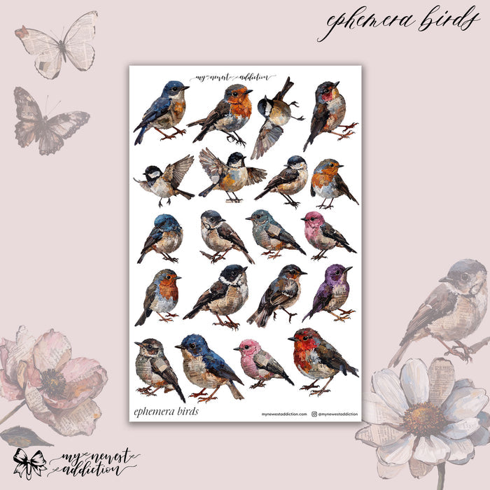 Ephemera Birds