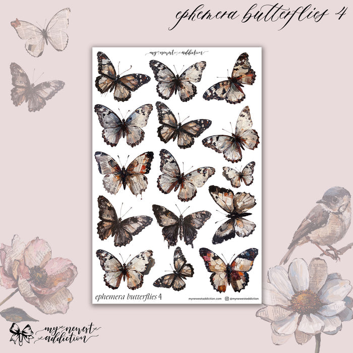 Ephemera Butterflies