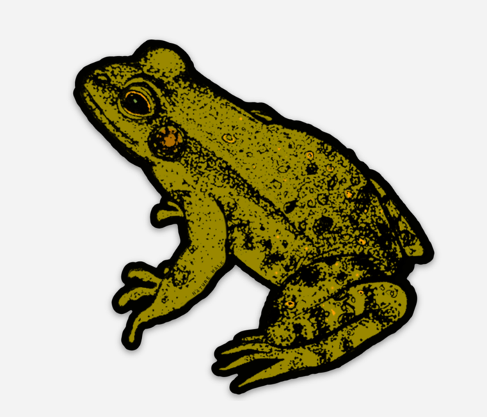 Frog waterproof decal