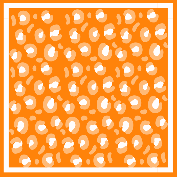 Gameday Scarf -SO2