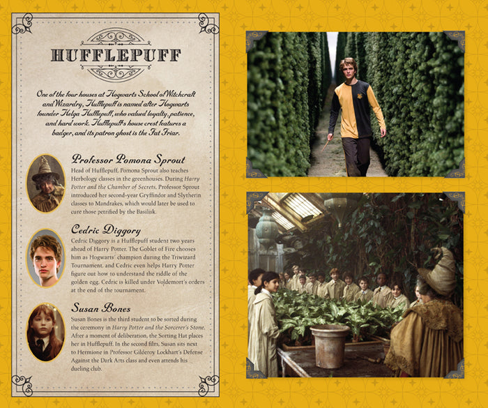 Harry Potter: Hufflepuff Hardcover Ruled Journal