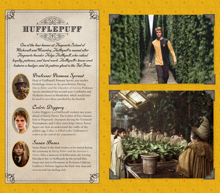 Harry Potter: Hufflepuff Ruled Pocket Journal