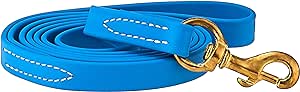 J&J Dog Supplies Biothane Dog Leash, 3/4" Wide by 6 Long, Sky Blue
