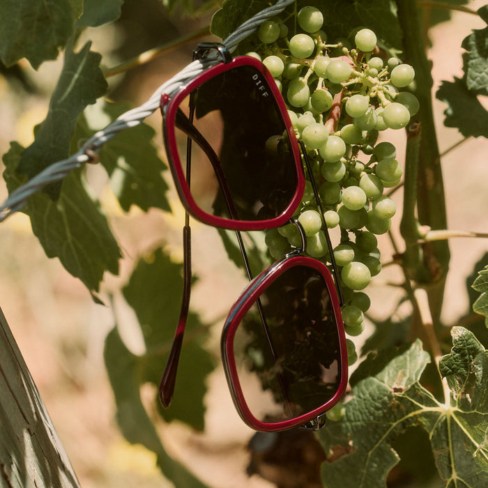 still life of diff eyewear featuring the jordan navigator sunglasses with a dark cherry lacquer frame and grey gradient polarized lenses hanging on a grape vine