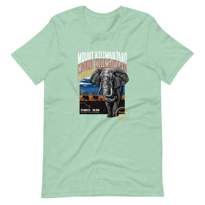 Kilimanjaro Virtual Challenge Unisex T-Shirt