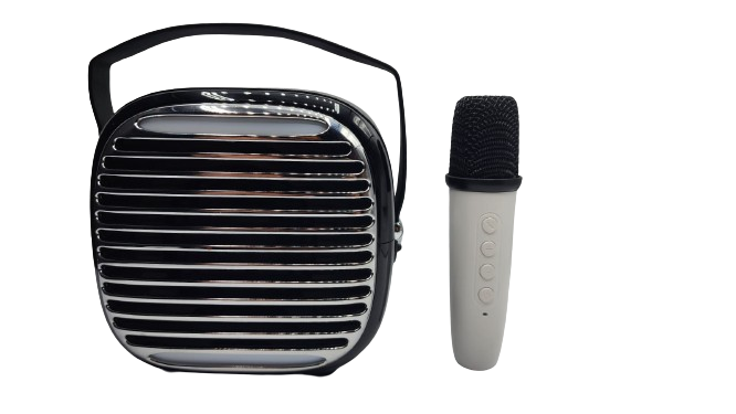 KTV Speaker