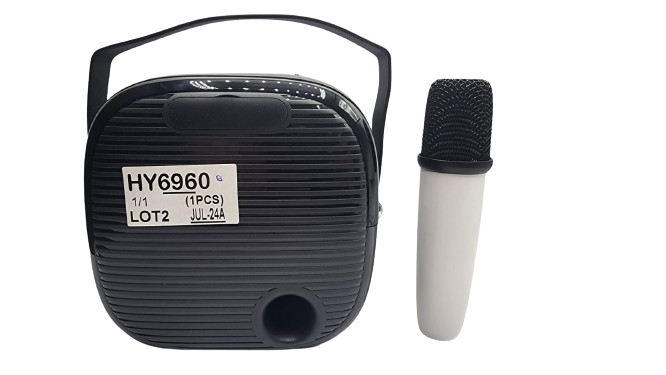 KTV Speaker