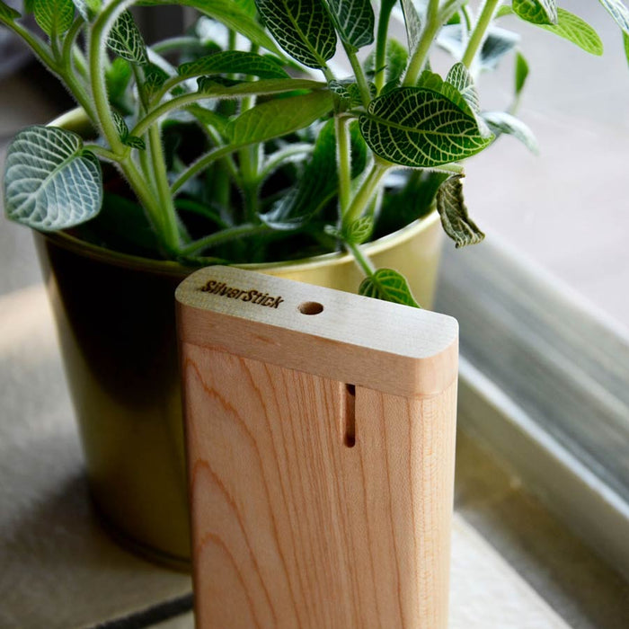 maple dugout case for pipe with a filter (1352558542940)
