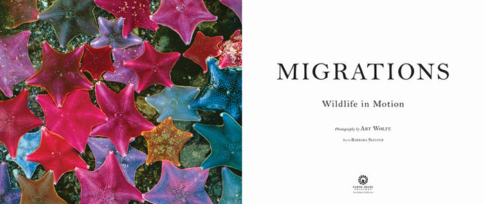 Migrations