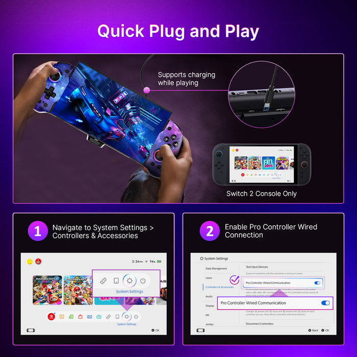 Detailed Instructions for Enabling Wired Connection on the Switch 2