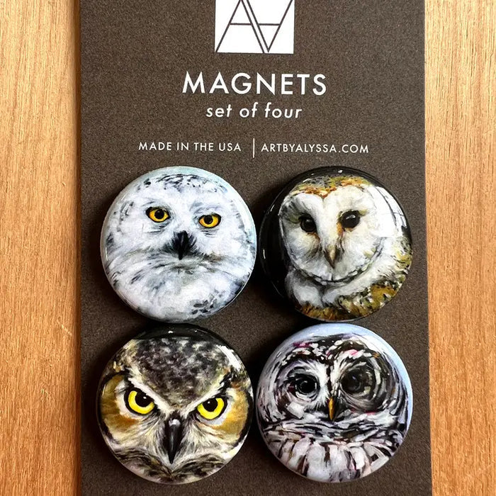 Owls Magnet Set