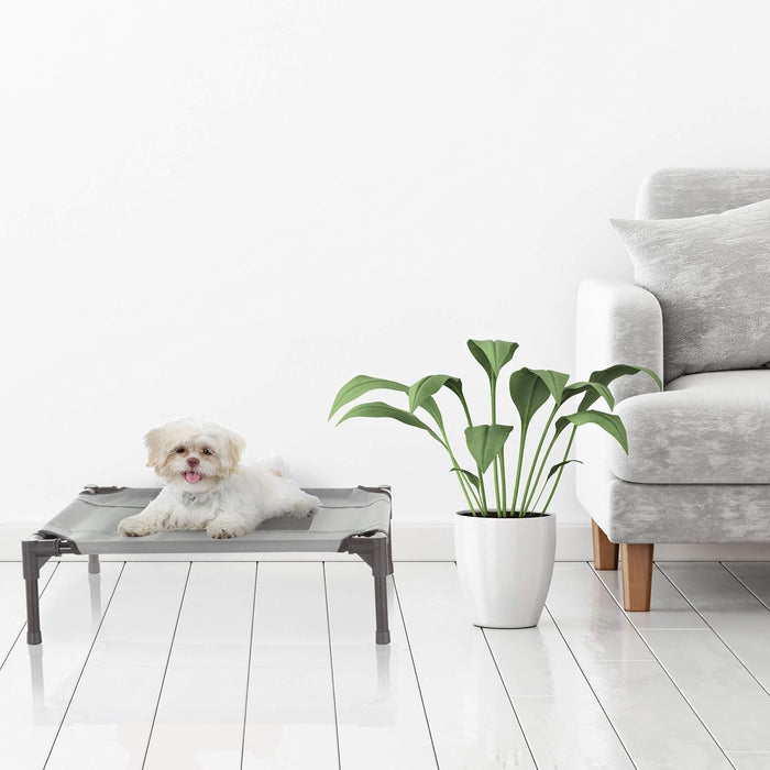 PETMAKER Elevated Dog Bed 24.5x18.5inch Portable Pet Bed With NonSlip Feet IndoorOutdoor Dog Cot Or Puppy Bed For Pets Upto 25lbs Gray