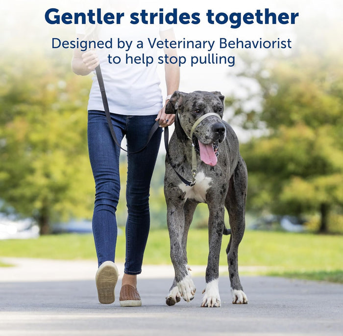 PetSafe Gentle Leader NoPull Dog Headcollar Small Fawn