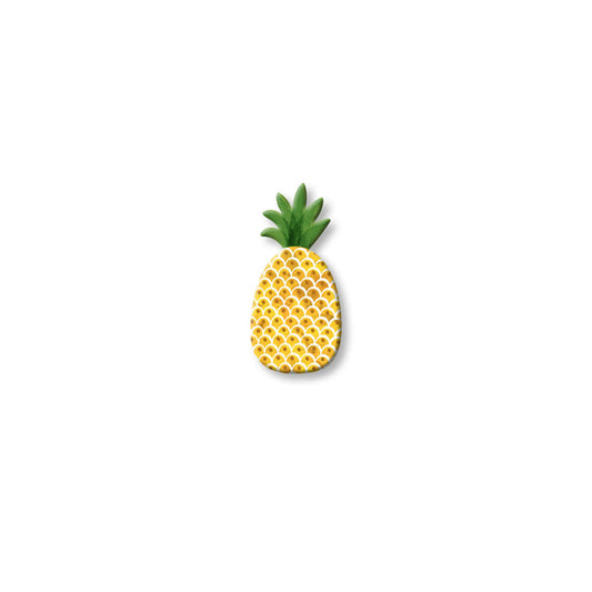 Pineapple Magnet