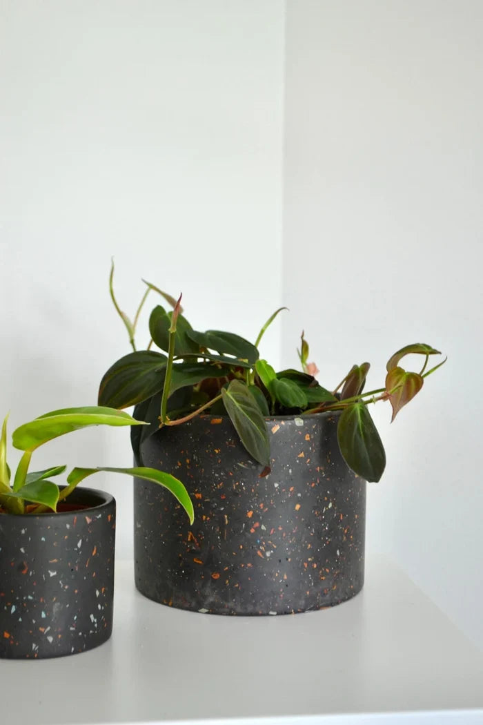Planter-Charcoal mixed colorful terrazzo chip