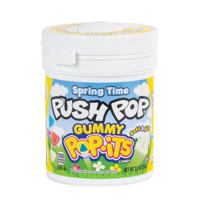 Push Pop Spring Time Gummy Pop Candy - 24 Count