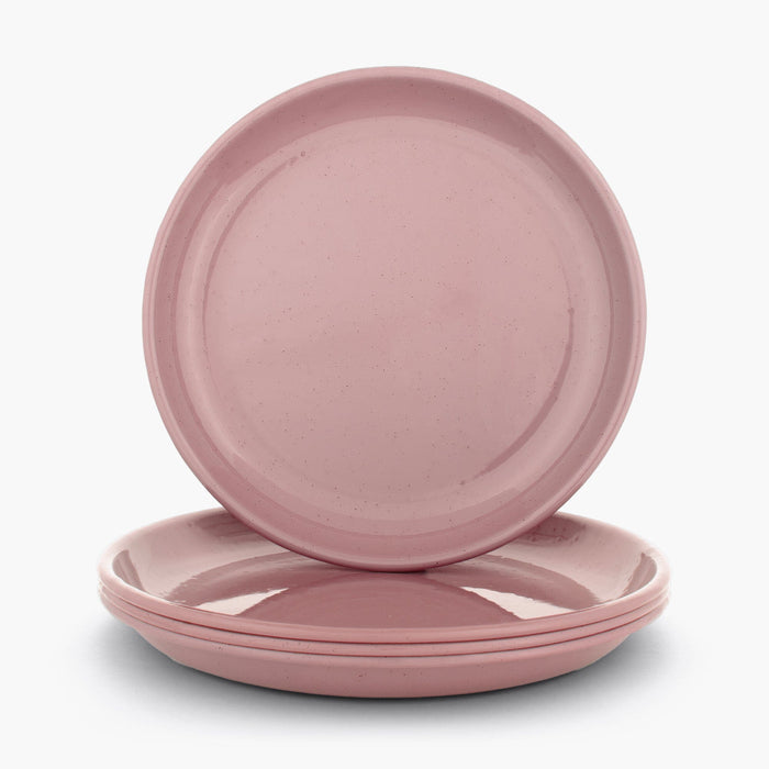 Rolled Enamelware Plate Set