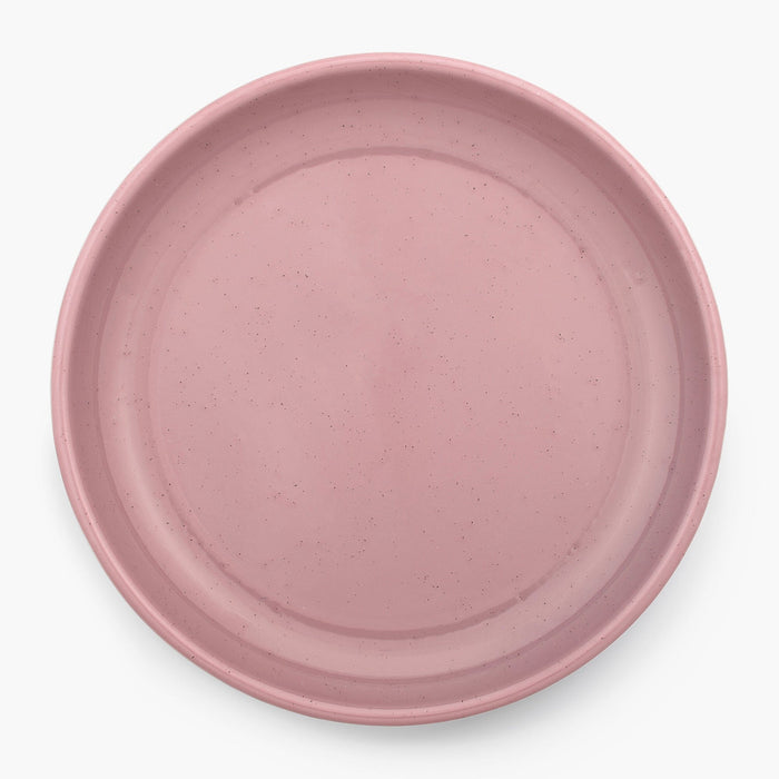 Rolled Enamelware Plate Set