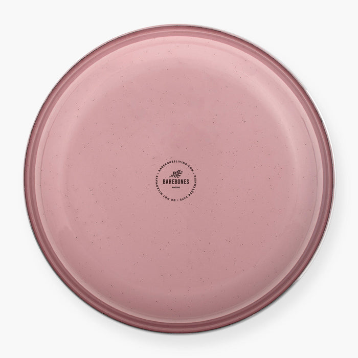 Rolled Enamelware Plate Set