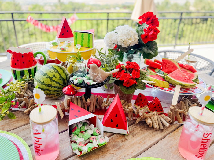 ScanNCut Watermelon Garden Party Kit