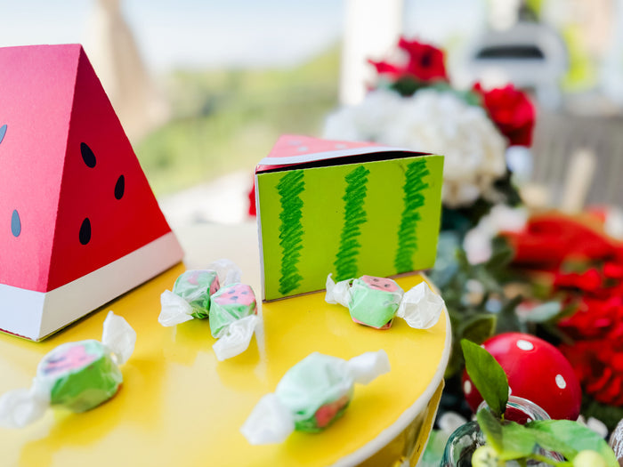 ScanNCut Watermelon Garden Party Kit