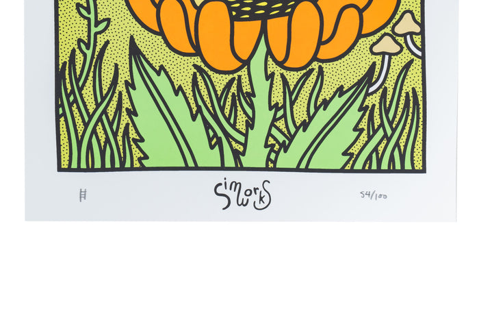 SimWorks Earth Gazer Screen Print by Nicholas Haig-Arack