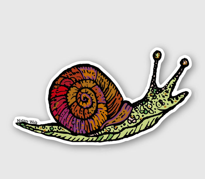 Snail Funky Decal