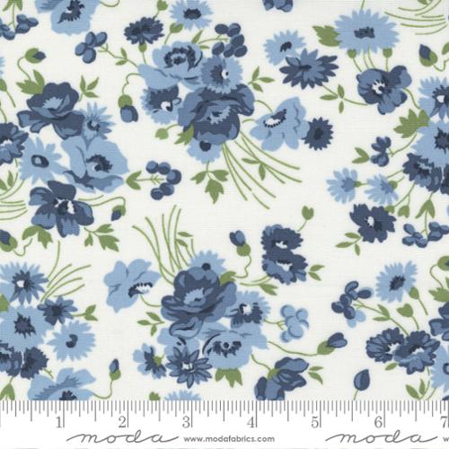 Succulent Stitches Quilt Backing Fabric Kit