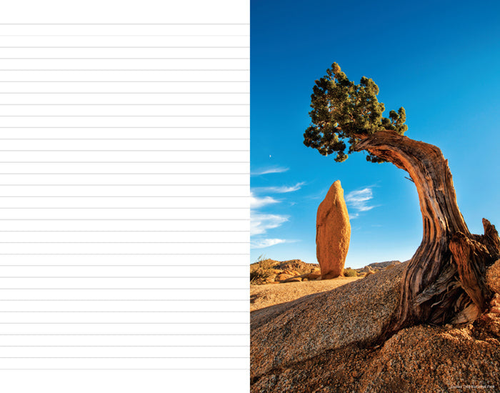 The National Parks: An Inspirational Journal